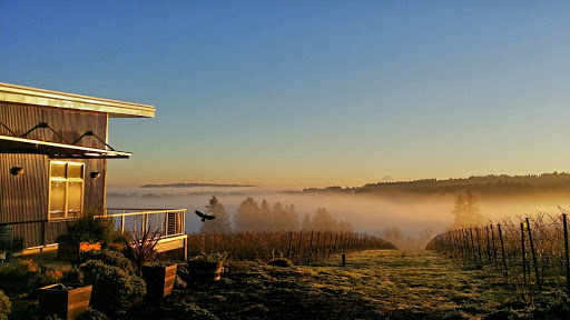 Winery «Raptor Ridge Winery», reviews and photos, 18700 SW Hillsboro Hwy, Newberg, OR 97132, USA