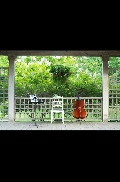 The Halifax Wedding Cellist