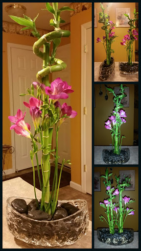 Florist «Blissful Blooms Floral», reviews and photos, 17 East Ave, Monroe, OH 45050, USA