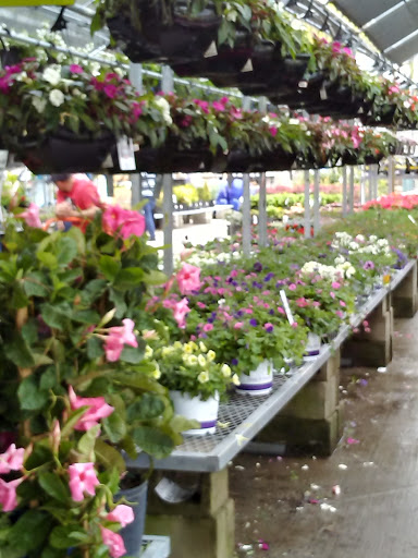 Home Improvement Store «The Home Depot», reviews and photos, 90 Monroe Turnpike, Trumbull, CT 06611, USA