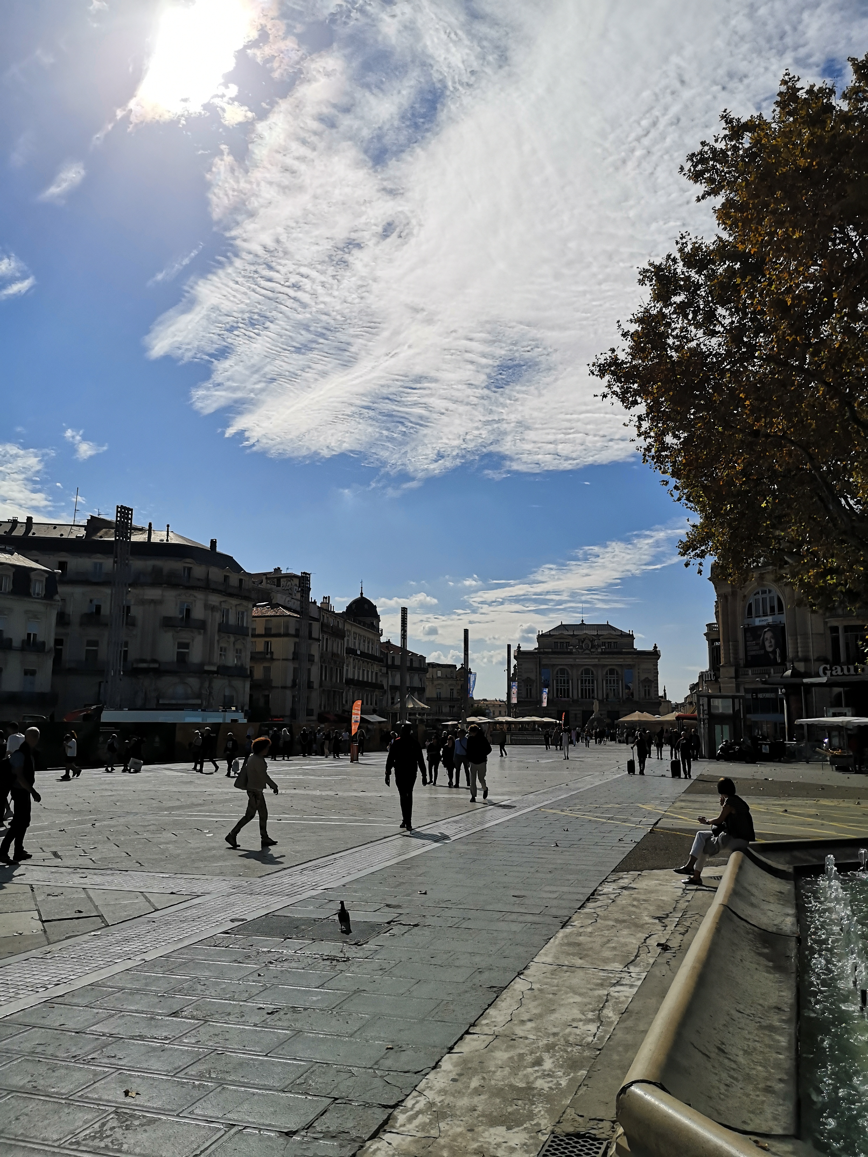 Photo n° 9 de l'avis de Entre.a fait le 30/10/2022 à 19:39