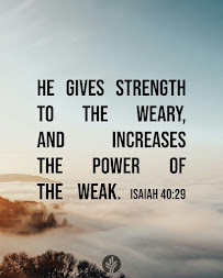 Nurse Next Door Home Care Services - Green Bay - Photo 3 - Car repair in Green Bay, WI, Green Bay