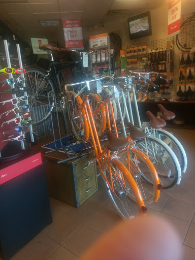 Bicycle Rental Service «Trailhead Bike Cafe», reviews and photos, 6825 N 16th St, Phoenix, AZ 85014, USA