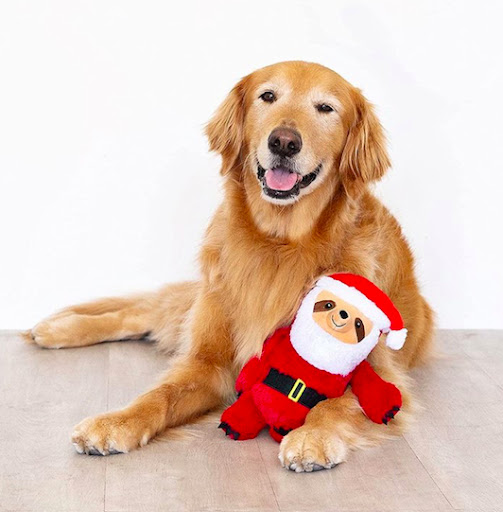 Pet Supply Store «The Pet Beastro», reviews and photos, 27637 John R Rd, Madison Heights, MI 48071, USA