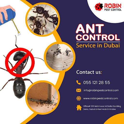 Robin Pest Control LLC