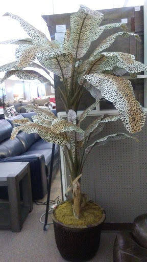 Furniture Store «Value City Furniture», reviews and photos, 23859 Eureka Road, Taylor, MI 48180, USA