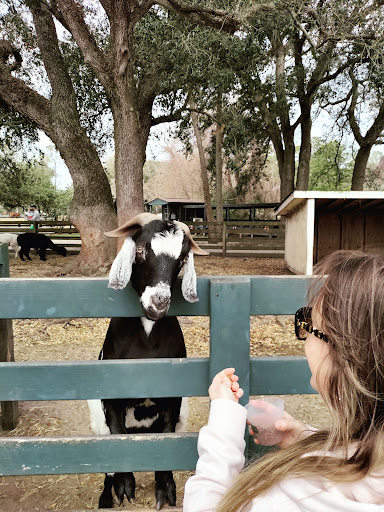 Stable «Lawton Stables», reviews and photos, 190 Greenwood Dr, Hilton Head Island, SC 29928, USA