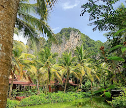 Green View Village Resort photo