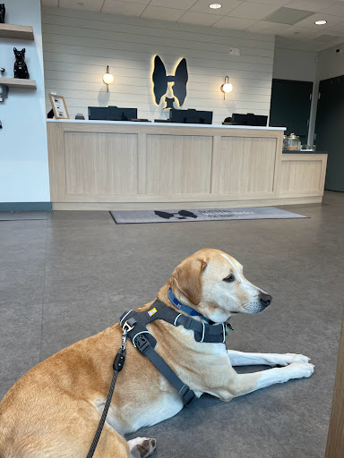 Boston Veterinary Clinic image