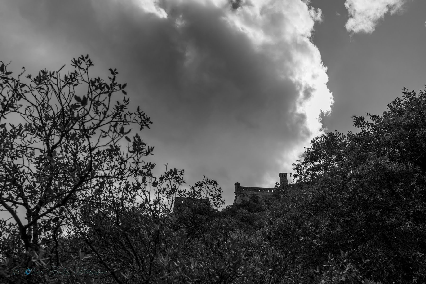 Photo n° 8 de l'avis de Olivier.o fait le 14/08/2023 à 22:31