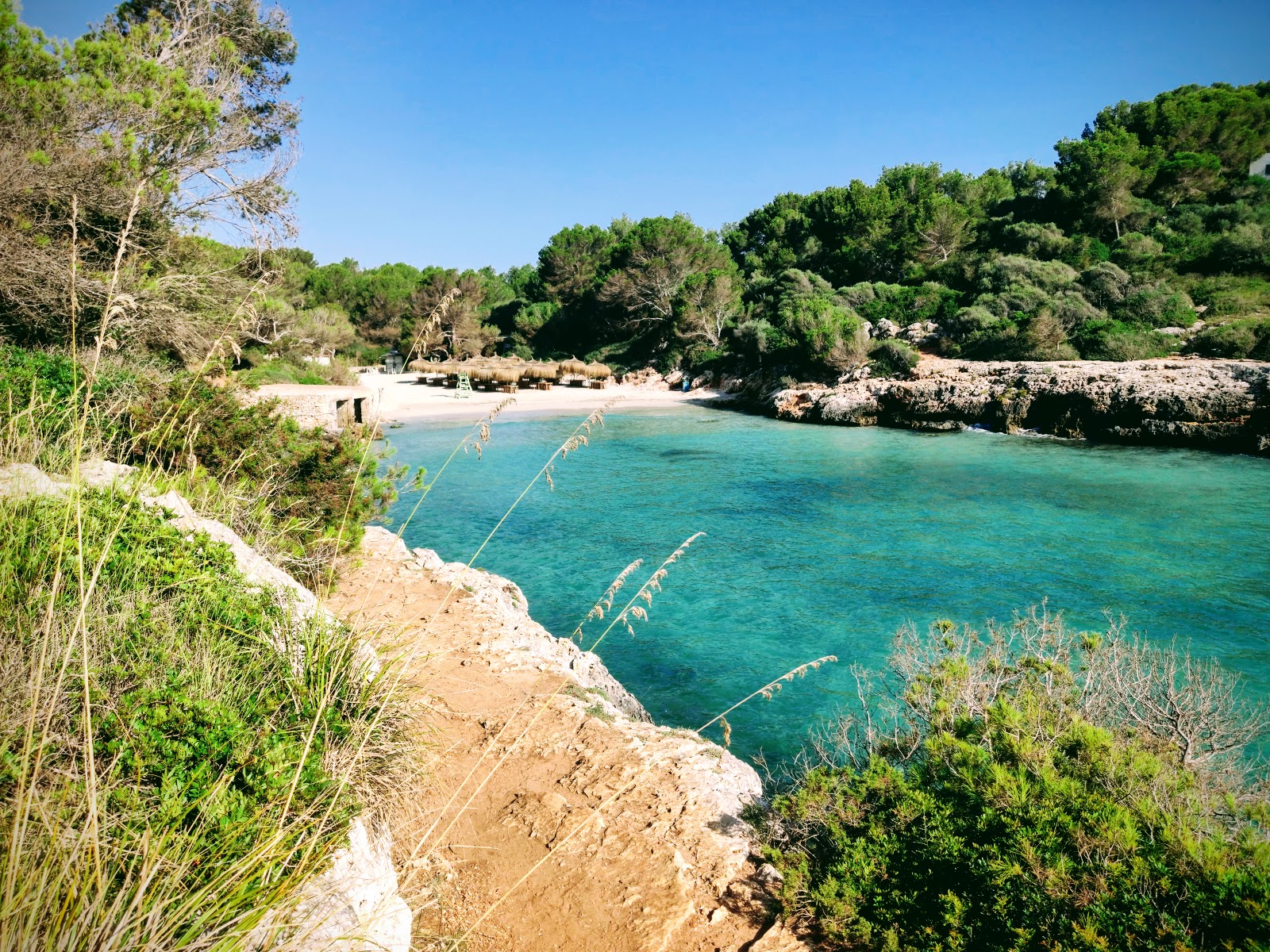 Cala Sa Nau photo #9