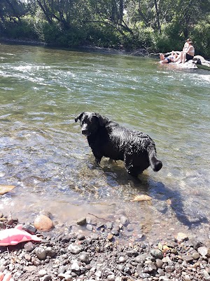 Five Mile Recreation Area - photo 31