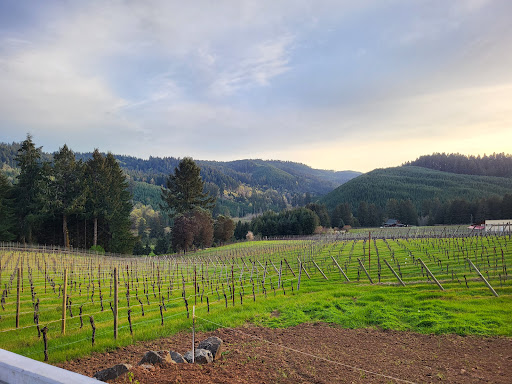 Winery «High Pass Winery», reviews and photos, 24757 Lavell Rd, Junction City, OR 97448, USA