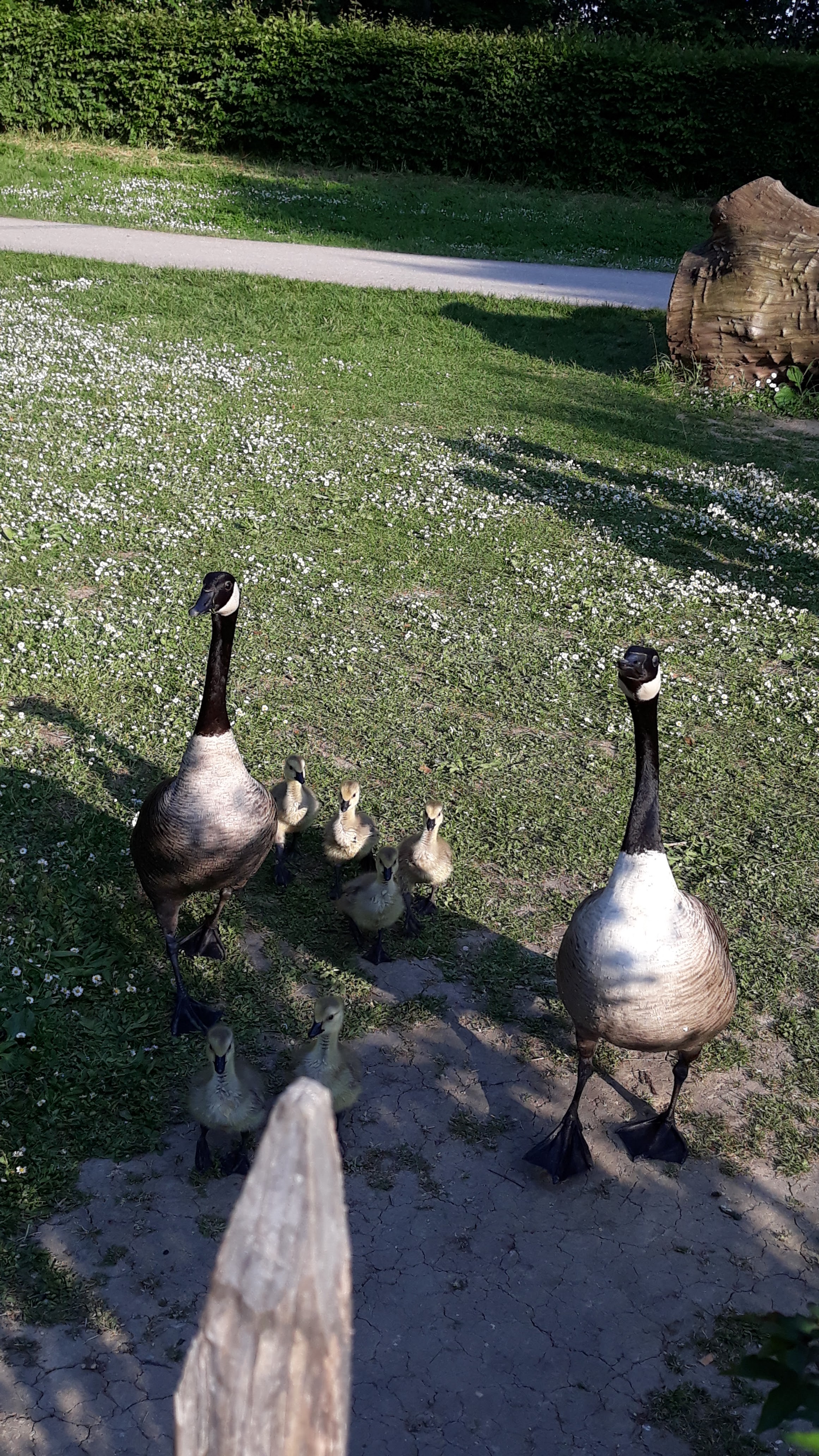 Photo n° 1 de l'avis de Marianne.e fait le 20/05/2018 à 20:06