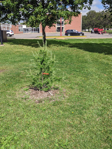 Park «Creekview Park», reviews and photos, 5001 Humboldt Ave N, Minneapolis, MN 55430, USA