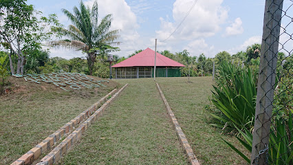 Anguila Lodge Hostel