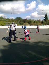 Sportovní areál - Hokejbal,skatepark