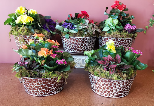 Florist «Flowers By Louis Hody», reviews and photos, 99 Seaboard Ln, Brentwood, TN 37027, USA