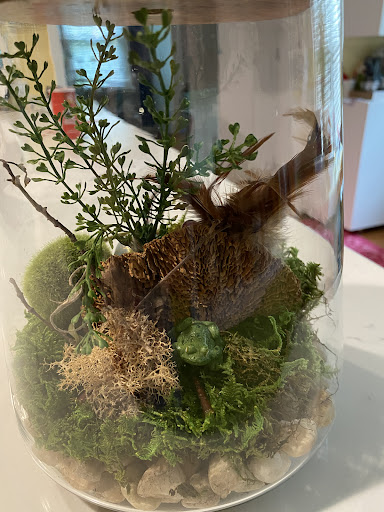 Florist «Davenport at Five Points», reviews and photos, 2007 Fairview Rd, Raleigh, NC 27608, USA