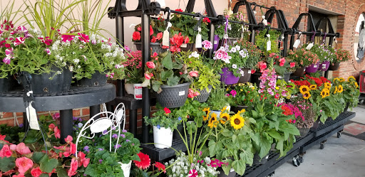 Hardware Store «Sunshine Ace Hardware Inc», reviews and photos, 141 Tamiami Trail, Naples, FL 34102, USA