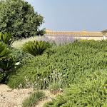 Photo n°6 de l'avis de Beppe.r fait le 12/07/2023 à 10:29 sur le  La Dimora di Spartivento, BW Signature Collection à Ragusa