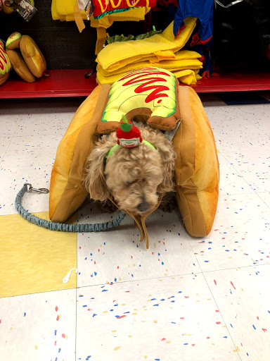 Pet Supply Store «Petco Animal Supplies», reviews and photos, 1591 Sloat Blvd, San Francisco, CA 94132, USA