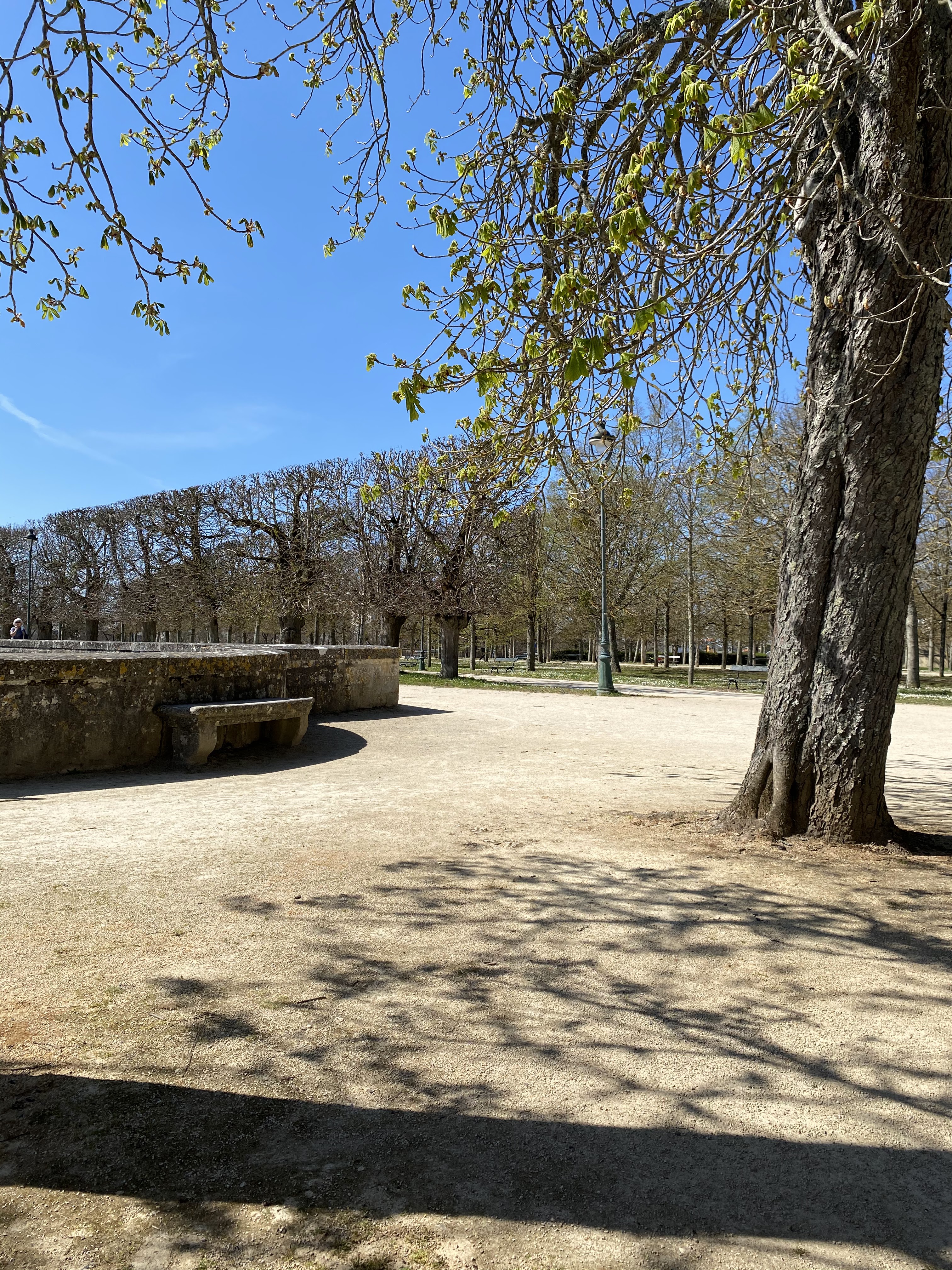 Photo n° 2 de l'avis de Marylène.u fait le 22/03/2022 à 17:15