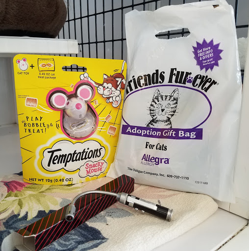 Pet Supply Store «Pet Supplies Plus», reviews and photos, 1258 Northlake Blvd, Lake Park, FL 33403, USA