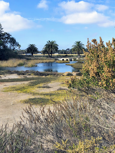 Famosa Slough, 4275-4283 W Point Loma Blvd, San Diego, CA 92107