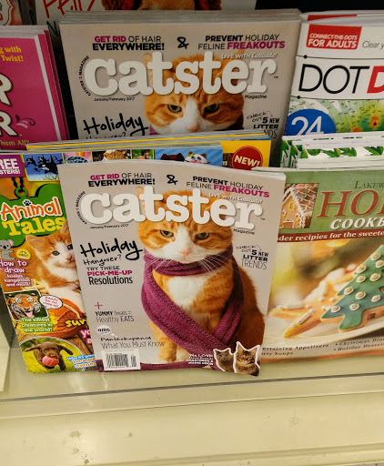 Grocery Store «Food Lion», reviews and photos, 411 W Lincoln St, Tullahoma, TN 37388, USA