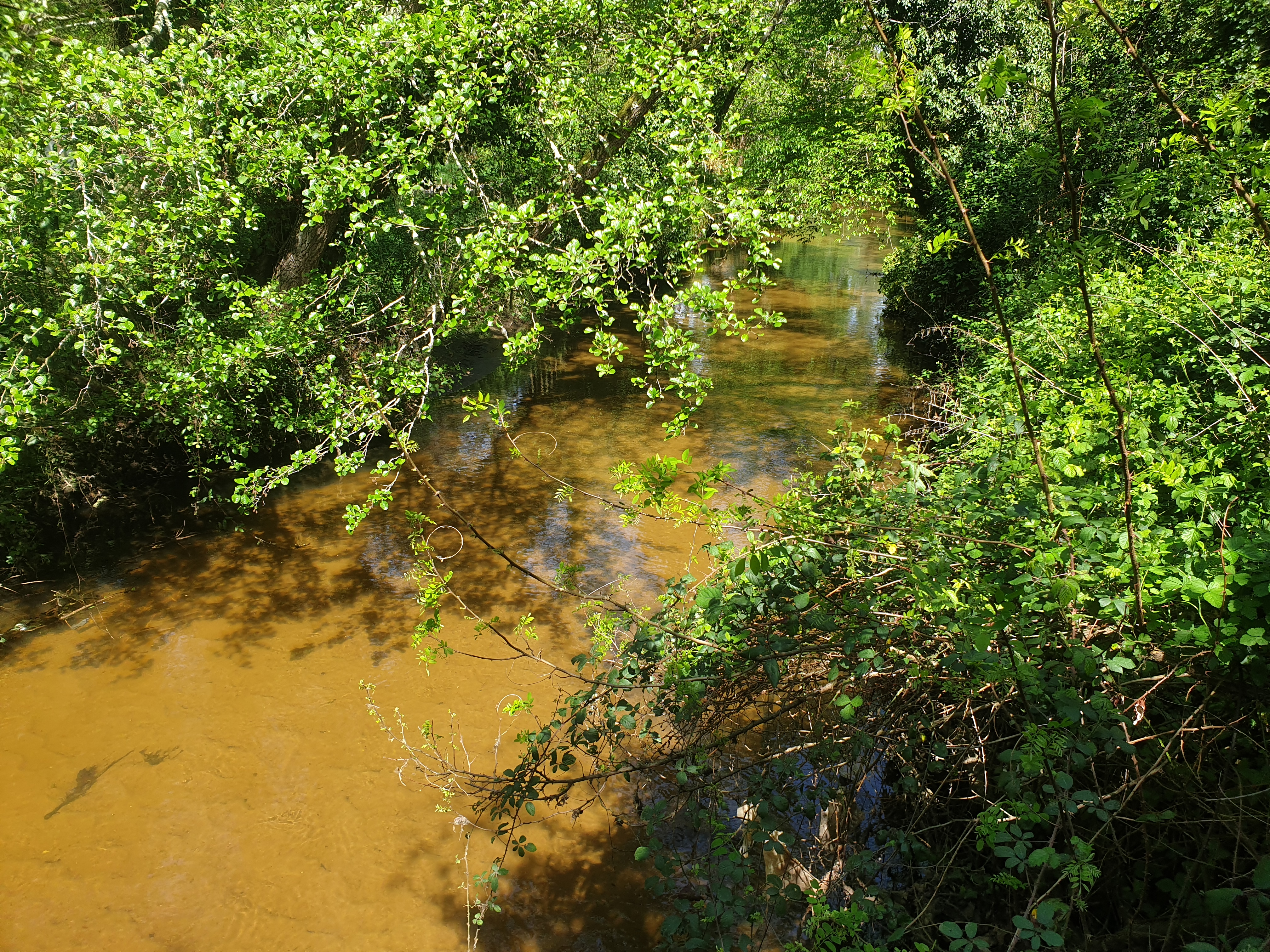 Photo n° 2 de l'avis de Fil.e fait le 17/04/2022 à 15:55