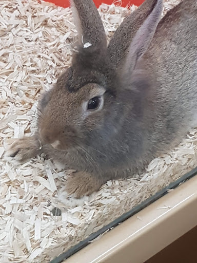 Pet Supply Store «Pet Supermarket», reviews and photos, 2111 N Federal Hwy, Hollywood, FL 33020, USA