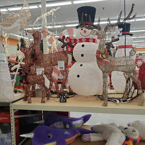 Discount Store «Big Lots», reviews and photos, 59 New State Hwy #2, Raynham, MA 02767, USA