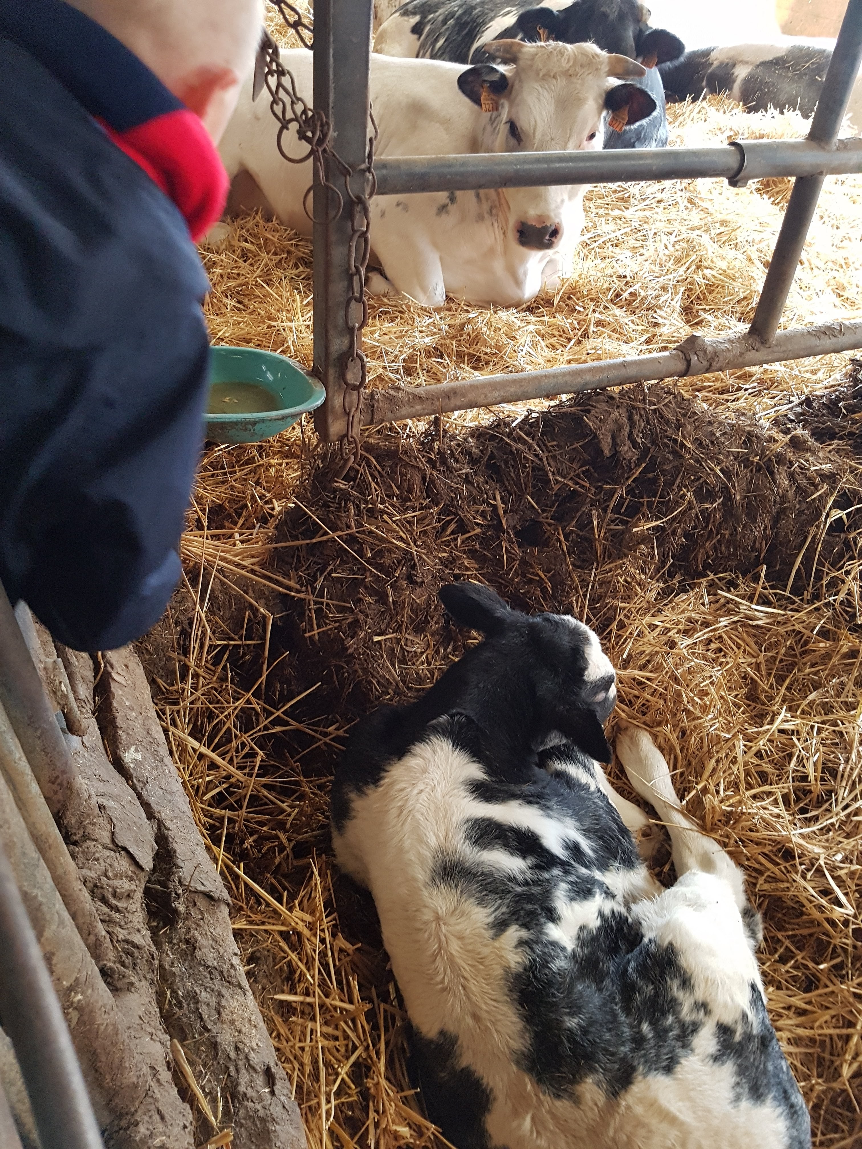 Photo n° 15 de l'avis de Alicia.P fait le 28/04/2019 à 13:27