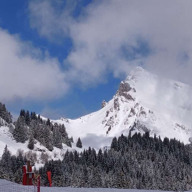 Photo n° 1 de l'avis de Johan.e fait le 19/02/2020 à 16:09