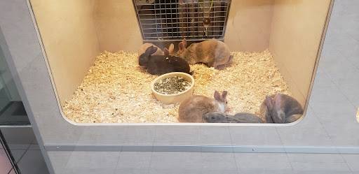 Pet Store «Alley Cat Pet Center», reviews and photos, 8700 NE Vancouver Mall Dr, Vancouver, WA 98662, USA