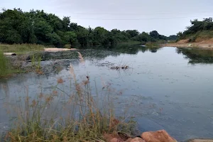 Gandari Vanam Park image
