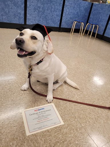 Pet Supply Store «PetSmart», reviews and photos, 9921 Pulaski Hwy, Baltimore, MD 21220, USA