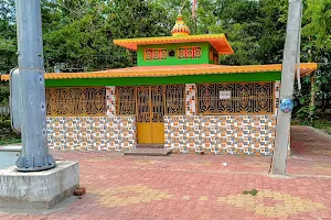Narayani Temple image