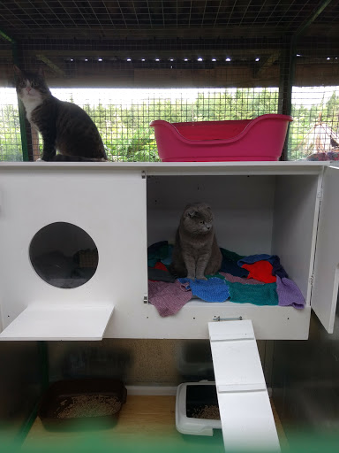 Banstead Boarding Cattery