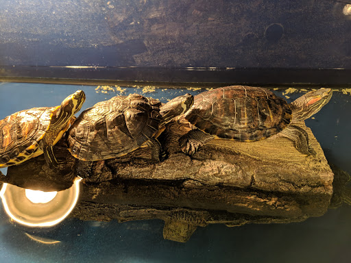 Pet Store «Animal House», reviews and photos, 7869 Hamilton Ave, Cincinnati, OH 45231, USA