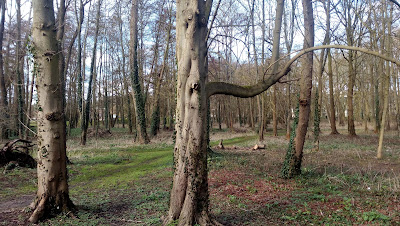 Parc John Fitzgerald Kennedy à Beauvais