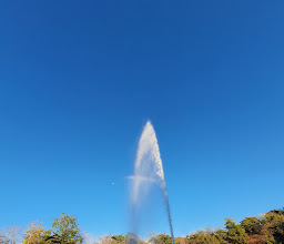 Culiacán Park photo
