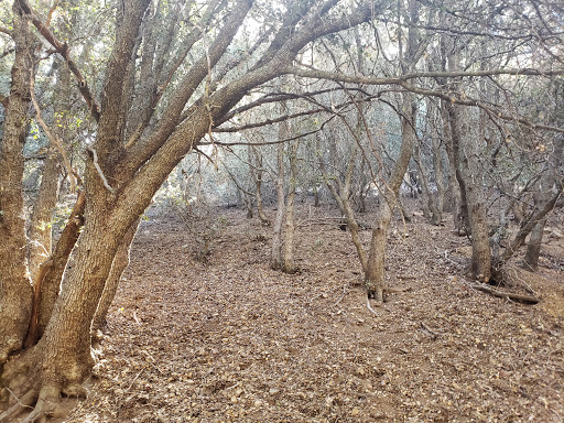 Nuooah Nature Trail Entrance