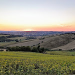 Photo n°7 de l'avis de Andy.a fait le 13/08/2022 à 22:03 sur le  Il Ruspantino à Senigallia