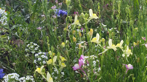 Nature Preserve «Sandy Point Bird Sanctuary», reviews and photos, Beach St, West Haven, CT 06516, USA