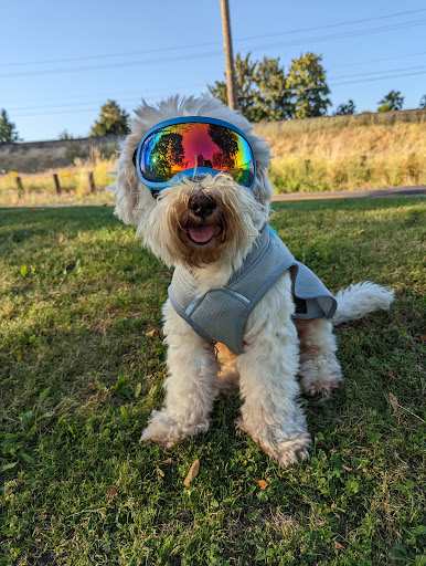 National Park «Fort Vancouver National Historic Site», reviews and photos, 612 E Reserve St, Vancouver, WA 98661, USA