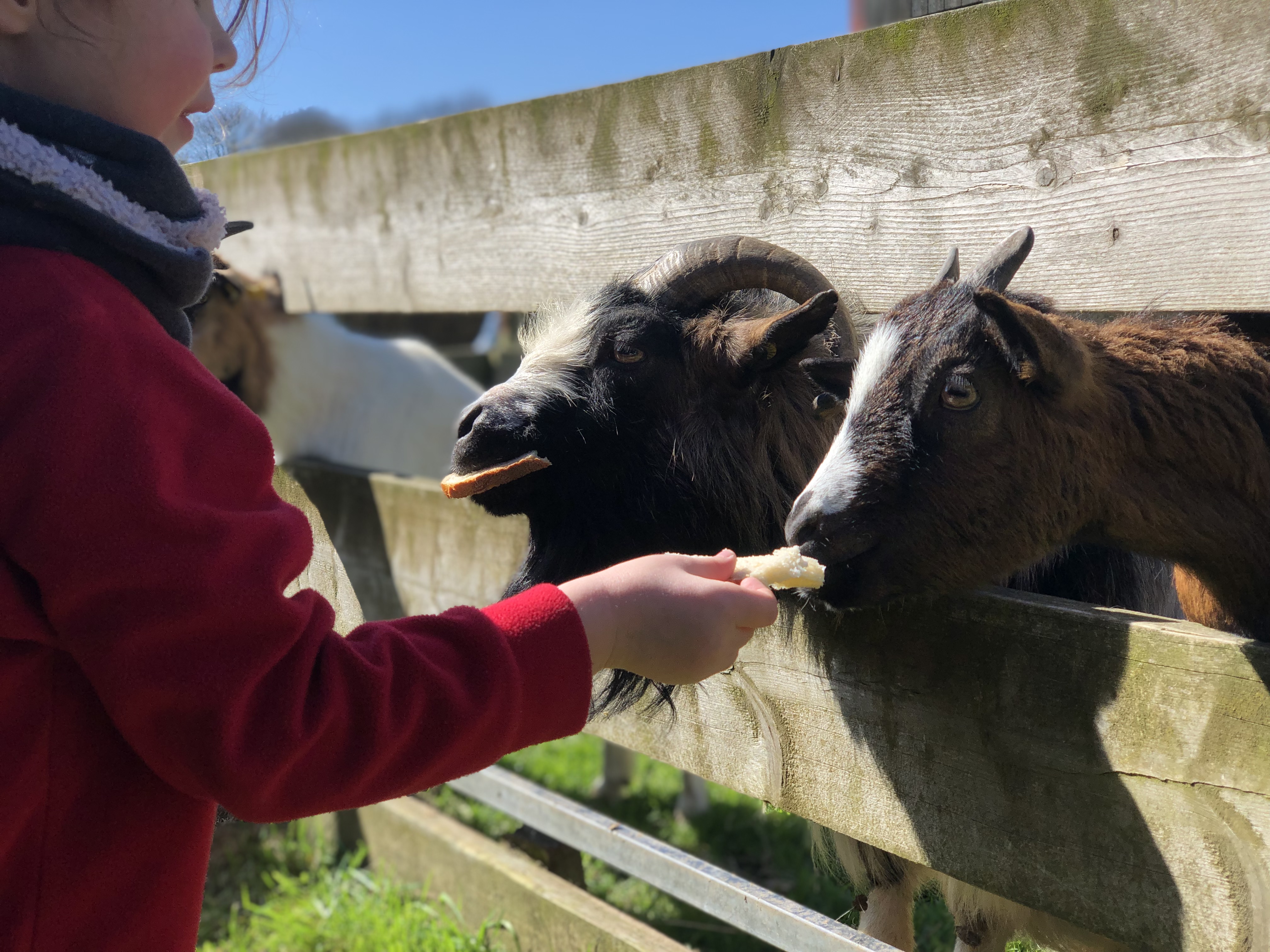 Photo n° 1 de l'avis de Yann.o fait le 07/05/2019 à 16:41