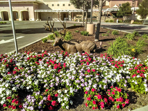 Casino «Thunder Valley Casino Resort - Employment Center», reviews and photos, 1200 Athens Ave, Lincoln, CA 95648, USA