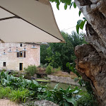 Photo n° 1 de l'avis de Gerard.e fait le 17/08/2020 à 05:26 pour PETIT COURAULT à Pamproux